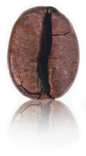 Bâtir avec énergie.